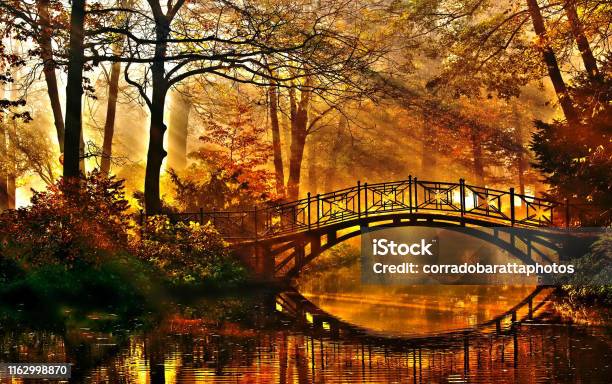 The Rivers Water Flows Slowly Through The Autumn Forest Stock Photo - Download Image Now