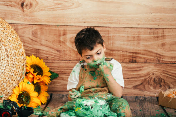 istock Smash the Cake sunflowers field 1162999035