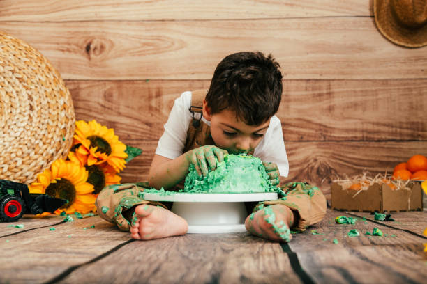 istock Smash the Cake sunflowers field 1162999051