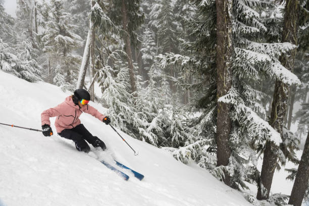 istock Skiing fresh powder in the mountains 1163001272
