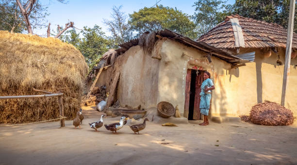 stammes-indianerdorf in bankura, westbengalen mit lehmhütten und enten im hof - underdeveloped stock-fotos und bilder