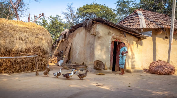 plemienna indyjska wioska w bankura, bengal zachodni z chatami błotnych i kaczkami na dziedzińcu - underdeveloped zdjęcia i obrazy z banku zdjęć