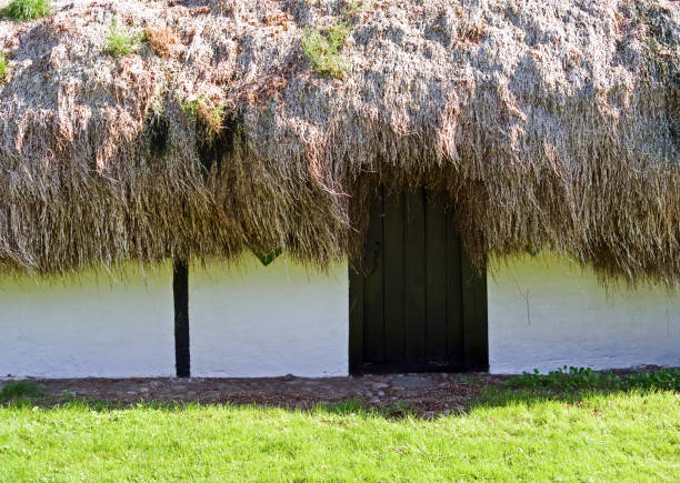 denmark: entrance door to an old half-timbered cottage with seaweed roof - thatched roof imagens e fotografias de stock