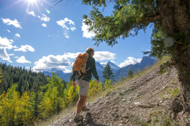 istock Hiker explores a mountain path in the forest in the morningsun 1163007948