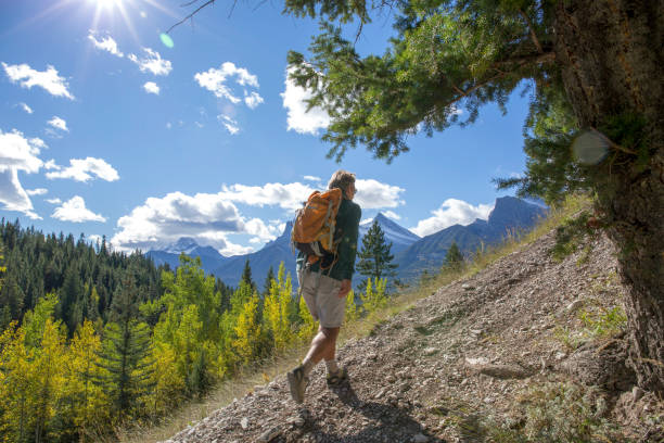 istock Hiker explores a mountain path in the forest in the morningsun 1163007952