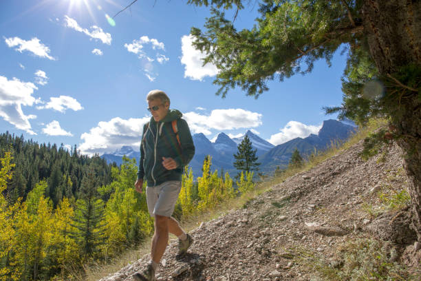 istock Hiker explores a mountain path in the forest in the morningsun 1163008593