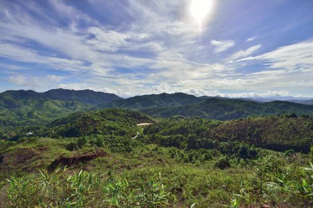 istock Forest in West Of Thailand with Landscape View 1163008793