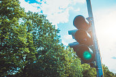 traffic light with color green and forest