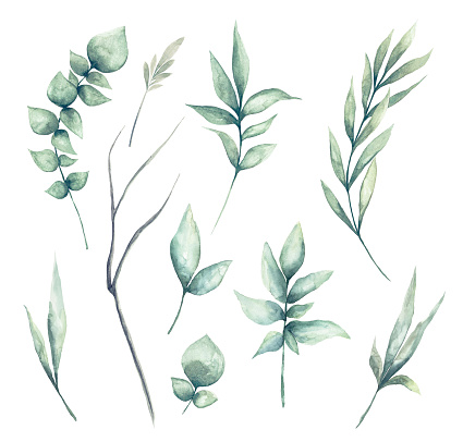 istock Set of watercolor green leaves clipart 1163010902