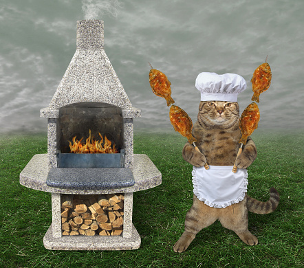 The cat cook with the grilled fish on the steel skewers is next to a granite barbecue grill in the meadow.