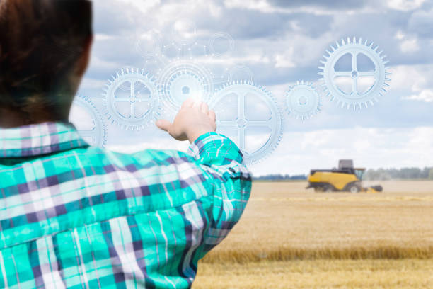 istock Managing the process of harvest. 1163013239