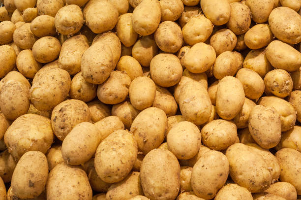 istock Organic potatoes on a farmer stall 1163013966