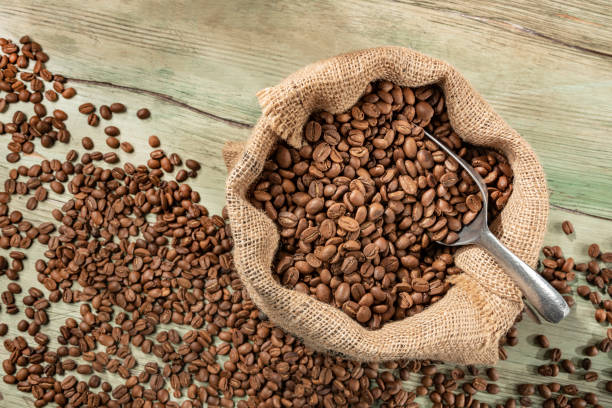 colheita do café no saco. - coffee crop bean seed directly above - fotografias e filmes do acervo