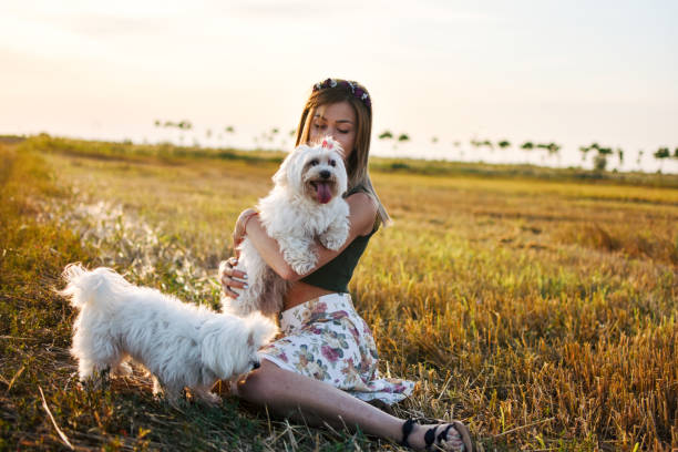 istock Young woman with dog 1163021239