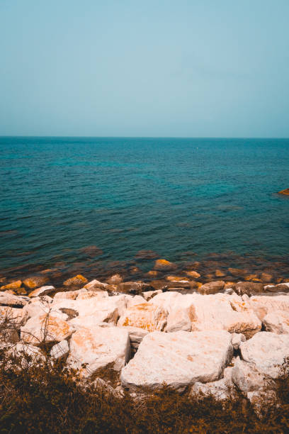 istock rocks at the ocean in cold colors 1163022473