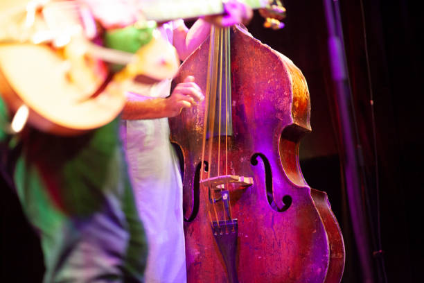 istock DOUBLE BASS AND GUITAR ON STAGE 1163023423