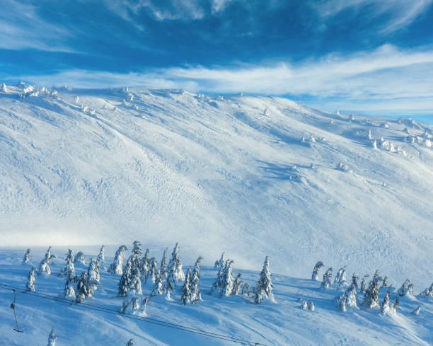 istock Icy snowy fir trees on winter hill 1163025738