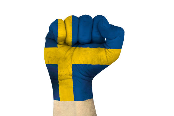 male hand in fist shape with flag covered