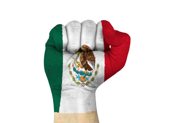 male hand in fist shape with flag covered