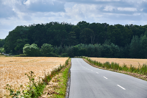 Asphalt road in the countryside. Diminishing perspective and road with dividing line