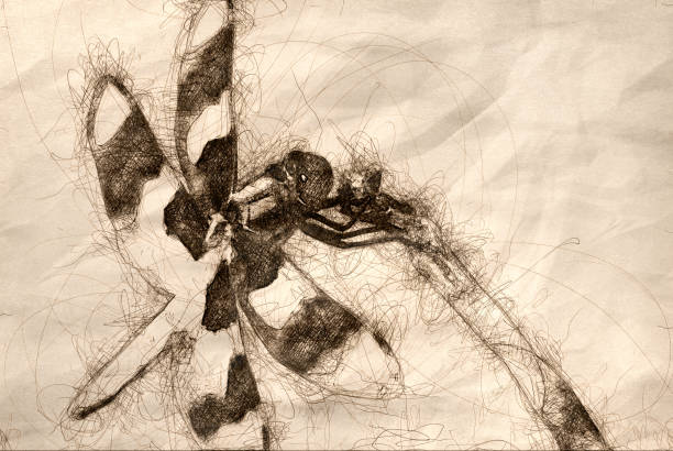 istock Sketch of a Dragonfly Perched on End of Twig 1163032085
