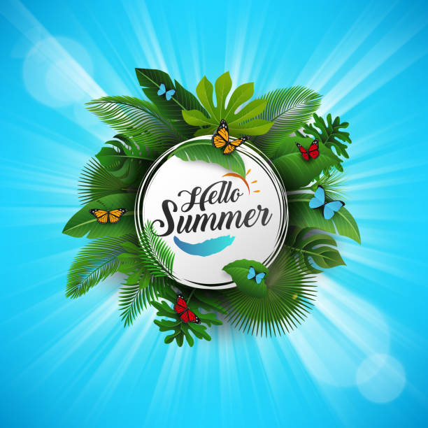 Hello summer sign with Tropical Leaves and blue background. Suitable for Summer concept, vacation, and summer holiday Compatible with Adobe Illustrator version 10, No raster and is easy to edit, Illustration contains transparency and blending effects areca palm tree stock illustrations