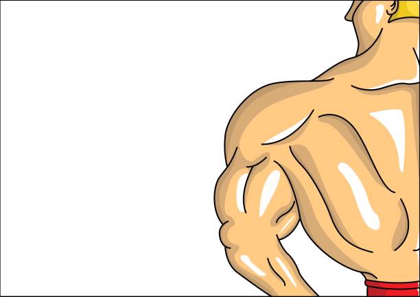 illustrazioni stock, clip art, cartoni animati e icone di tendenza di bodybuilder maschile dall'illustrazione vettoriale posteriore - latissimus dorsi illustrations