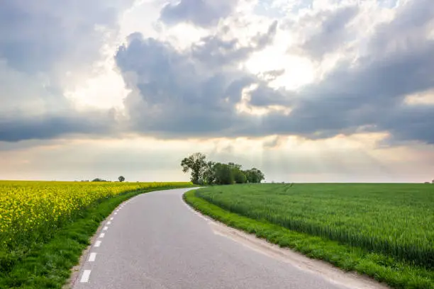 rural landscape with clouds over a field of a rape