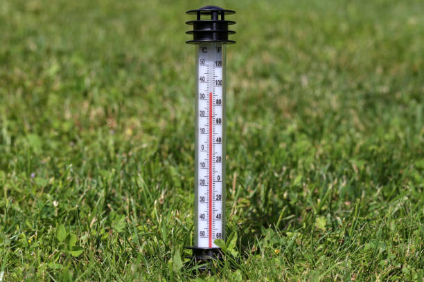 istock Hot summer. The thermometer in the grass. 1163036698