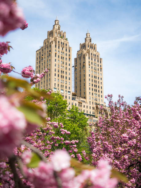 istock Spring In Central Park, New York City 1163038535