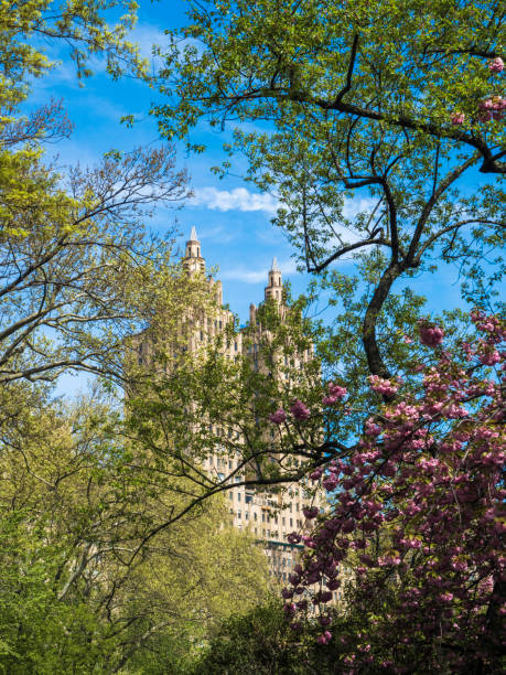 istock Spring In Central Park, New York City 1163038553