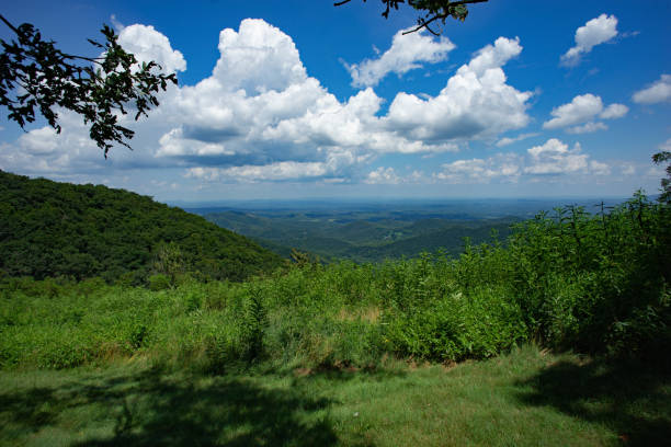 istock Rocky Knob Overlook 1163041243