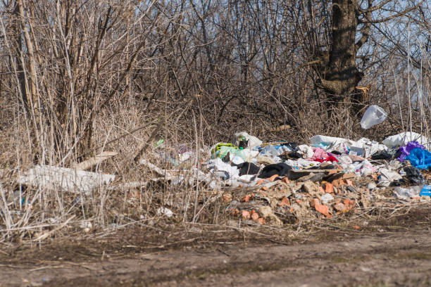 istock Trash on the agriculture field. Ecology problem and big harm to nature. 1163041784