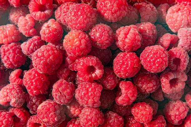 istock Fresh organic raspberries background closeup 1163042977