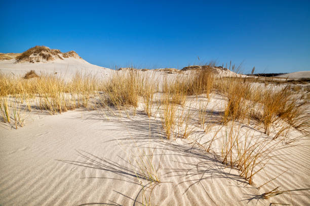 istock Slowinski National Park, dunes, Poland 1163043094