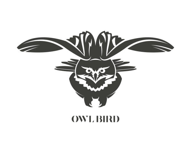 날개가 펼쳐진 올빼미. 독수리 올빼미 새 벡터 실루엣입니다. - owl talon barn owl silhouette stock illustrations