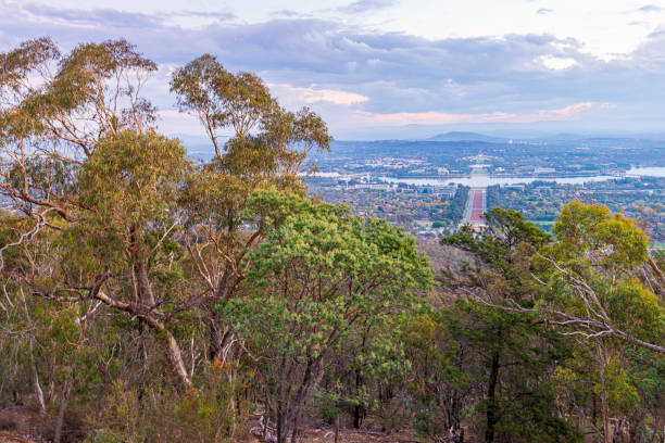 istock Sunset view from Mount Ainslie Lookout, Australia 1163054786