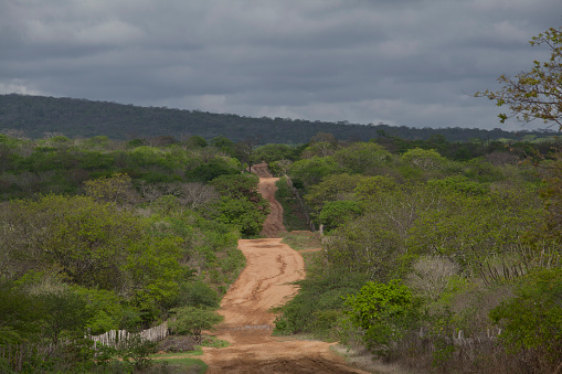 Santa Cruz do Capibaribe, PE, Brazil - January 18th, 2016: A dirt road in rural area hinterland Pernambuco State, northeast Brazil.