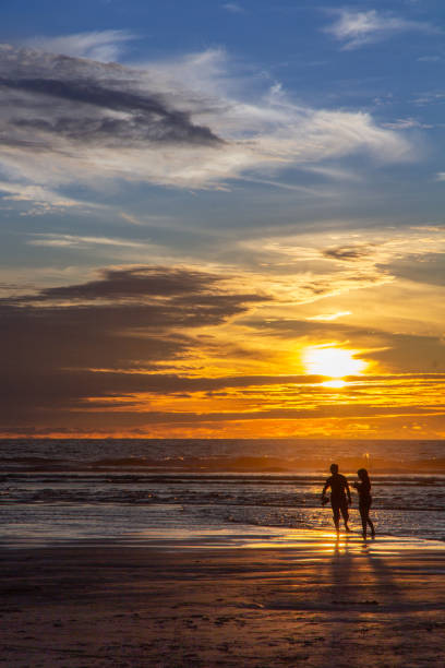 istock Silhouette at Sunset Muriwai 1163059622
