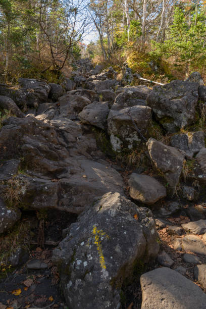 istock The mountain trail to Mt.Tateshina 1163067300