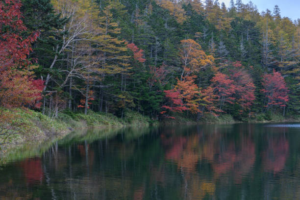 istock Futago Pond in the late autumn 1163067450