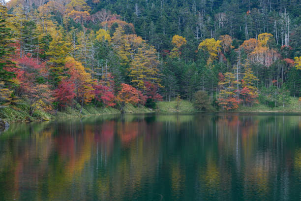istock Futago Pond in the late autumn 1163067807