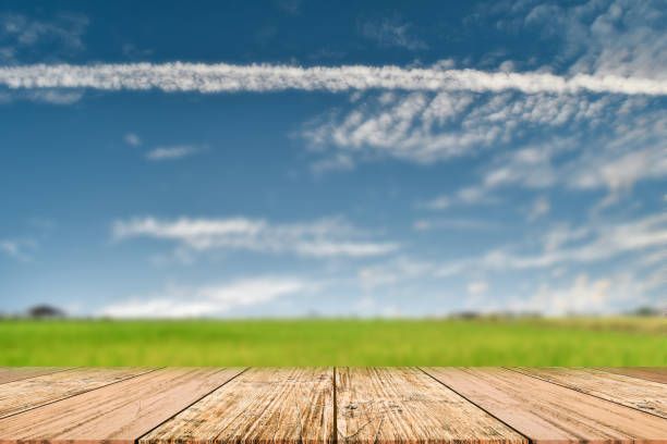 istock Empty wooden table top on blur green landscape background. For your product display or design key visual layout 1163070377