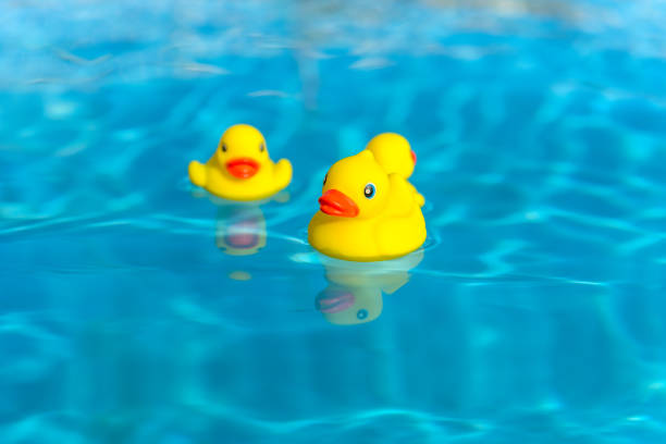 istock Rubber duck family 1163075955