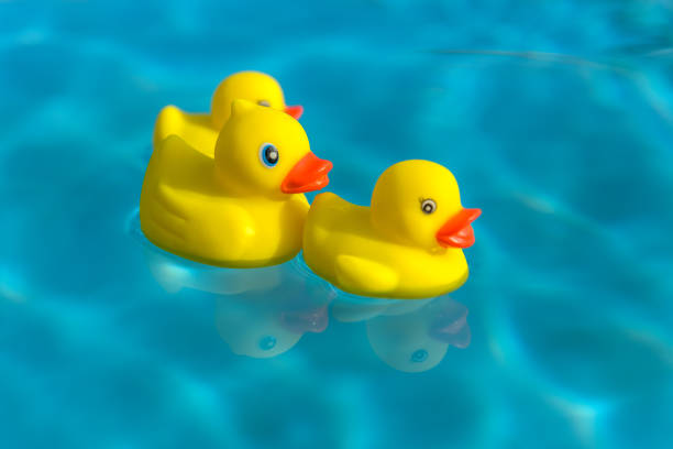 istock Rubber duck family 1163077624