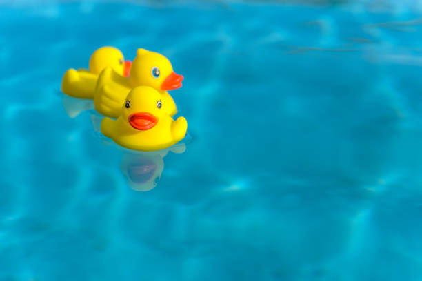 istock Rubber duck family 1163079531