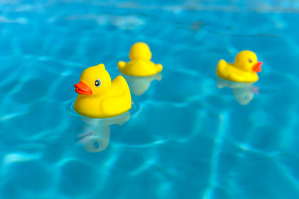 istock Rubber duck family 1163081000