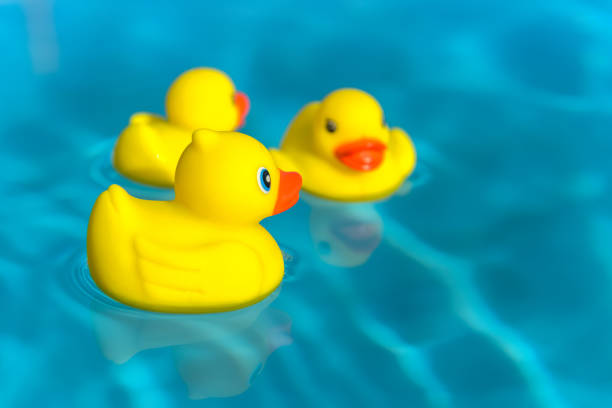 istock Rubber duck family 1163082230