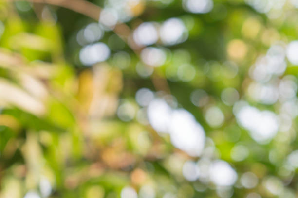istock Colors of Autumn, leaves blurred 100% 1163082417