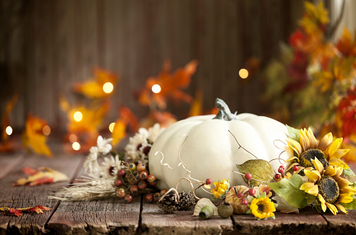 Autumn Thanksgiving pumpkin and leaf arrangement on old wood background